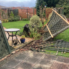 Reacting to Dad telling me “The fence blew down”.