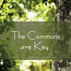 The Commons Are Key