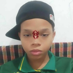 MONTAGEM HOSPITALIZAÇÃO MAGNATA 🦠🧬 | DJ STDZ & DJ MENOR SZ