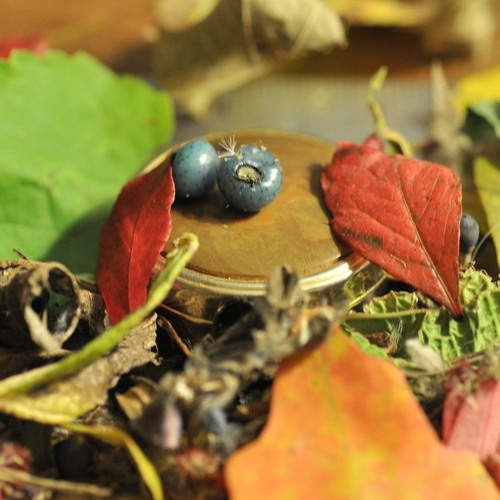 Another Sunday Passes