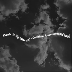 Cook up (Uh uh) - Cochise (unreleased loop) ***BEST ONE OUT***