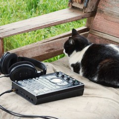 LoFi Bossa Nova