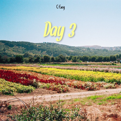 Day 3