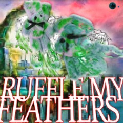 ruffle my feathers (prod. 1kkyoto)