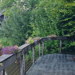 Vuurvogel - Den Oorsprong 2025.mp3