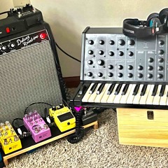 All the Beautiful Music I Could Summon