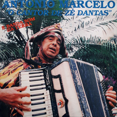 Bota Fogo na Fogueira (feat. Banda Som da Terra)