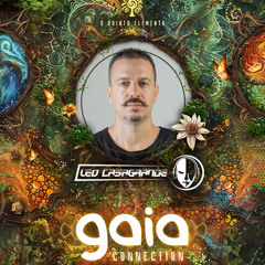 Gaia Connection 2025