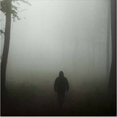 Among the Missing