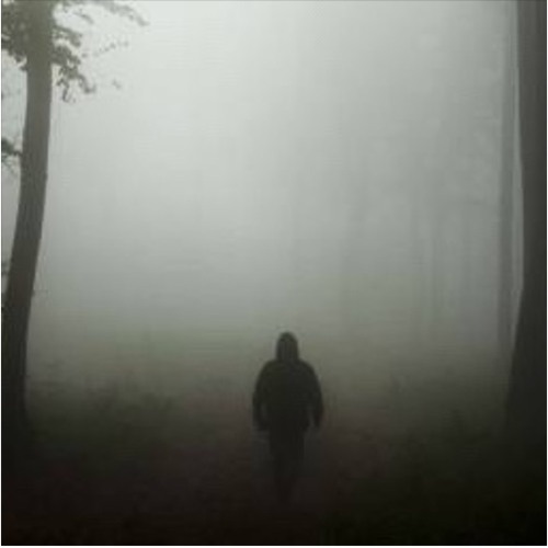 Among the Missing