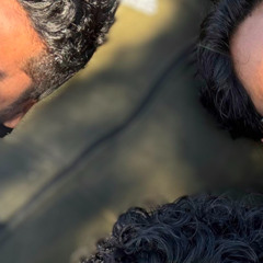 I SELDOM REPEAT MYSELF