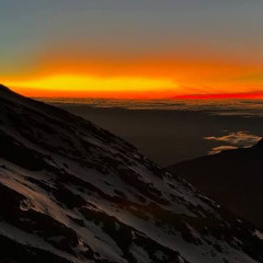 New Day