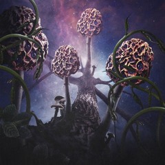 BLUT AUS NORD : Haallucinählia
