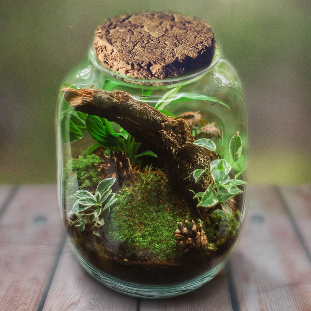 Sealed Away