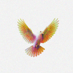 FLY LIKE A DOVE