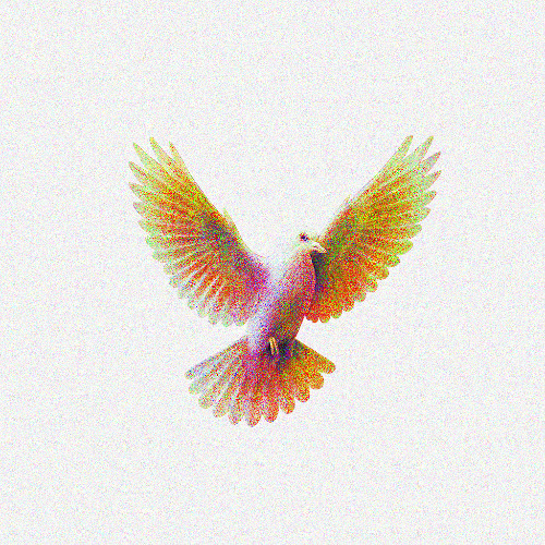 FLY LIKE A DOVE