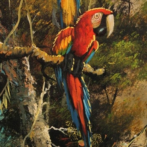 Bird Island
