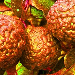 Citrus Hystrix