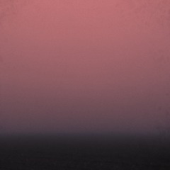 Fog