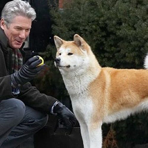 Stream Hachiko Dog Movie Dual Audio English To Hindi 274 from
