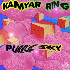 PREMIERE: Kamyar Ring - No Mercy (Firedrill Remix) [datafruits]