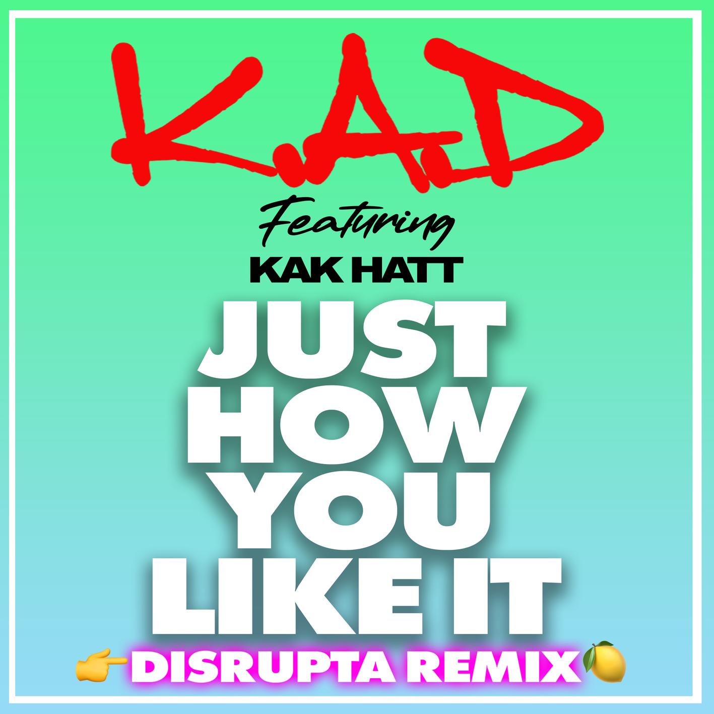 Just How You Like It (Disrupta Remix)