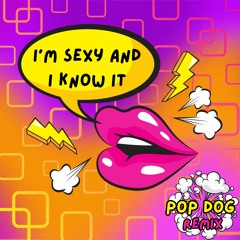 I'm Sexy And I Know It (Pop Dog remix)