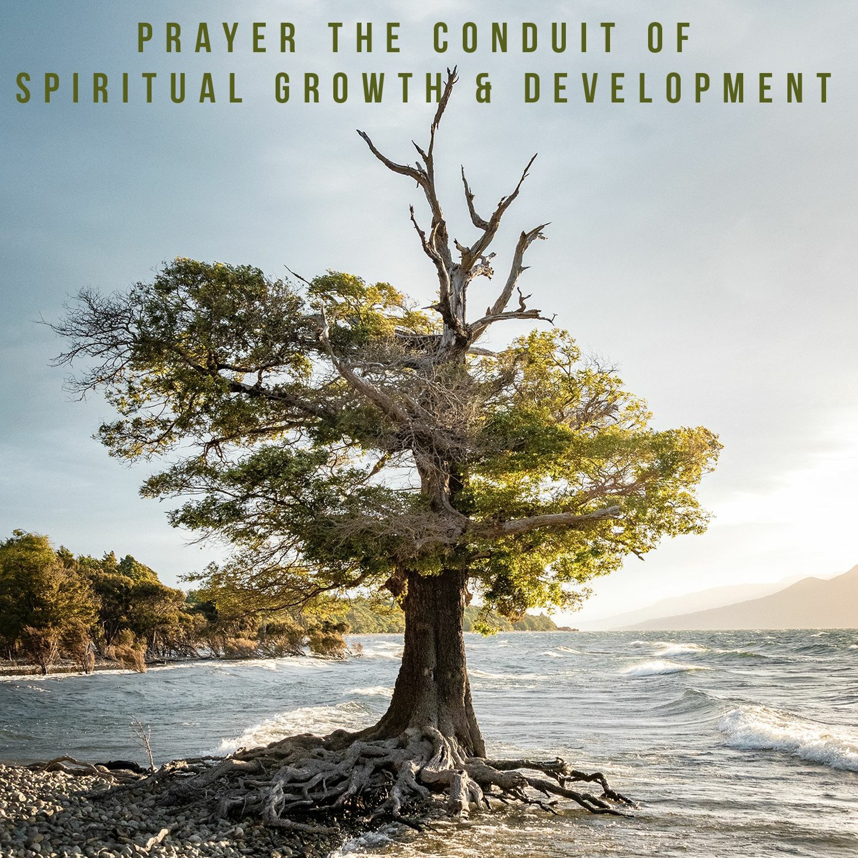 Prayer the Conduit of Spiritual Growth and Development episode artwork