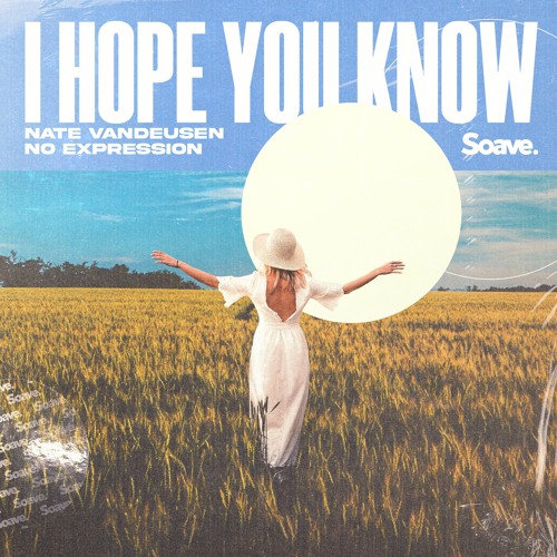 Nate VanDeusen & No ExpressioN - I Hope You Know