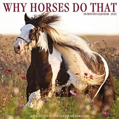 [View] EPUB KINDLE PDF EBOOK Why Horses Do That 2022 Wall Calendar by  Willow Creek Press 📥