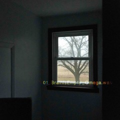 01_//BrainIsEmpty._Omega