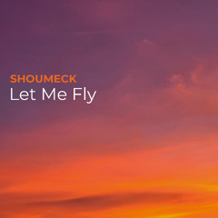 Let Me Fly
