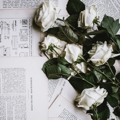 MAGN9 x guchinka x STRKO - cursed flower