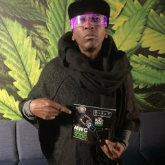 scanners (asshole's zimulated remix) ft. pheonix orion