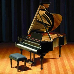 The Instrumental Player