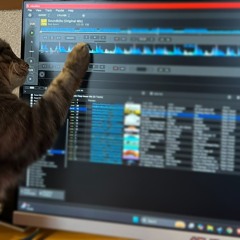 Cat approves this playlist (Deep/tech/minimal house)
