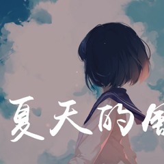 庄心妍 - 夏天的风【動態歌詞/Lyrics Video】