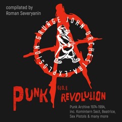 Punk Archive (1974 - 1994)