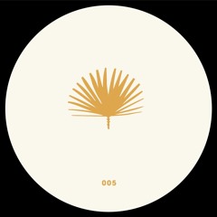 Premiere: A1 - Felipe Valenzuela - 5006 [LSPD005]