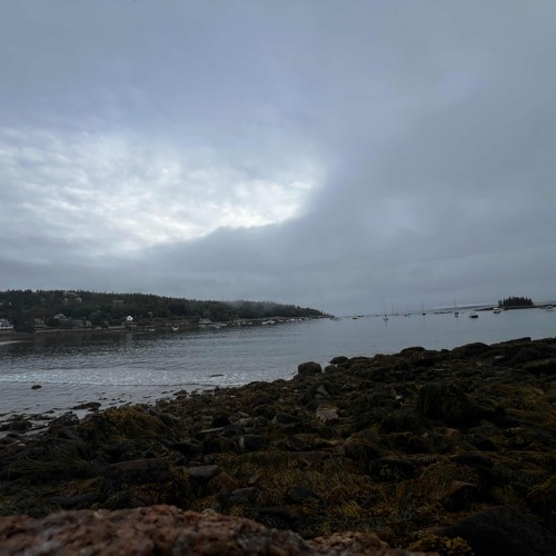 MyLife2 ft.0drat(prod.blaze x appa2x)