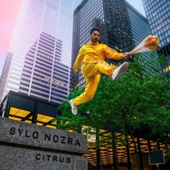 Sylo Nozra - Citrus {Bass & Beats, Reverb}