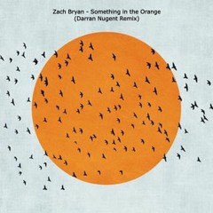 Zach Bryan - Something In The Orange (Darran Nugent Remix)