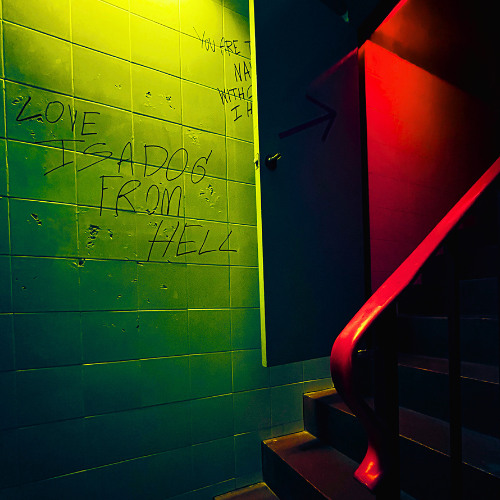 愛是來自地獄的狗