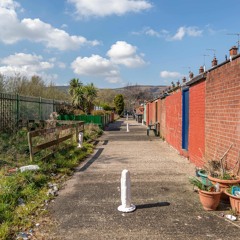 Liminalley Field Recording