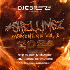 #Shellingz Bashment Mix Vol.2 2024