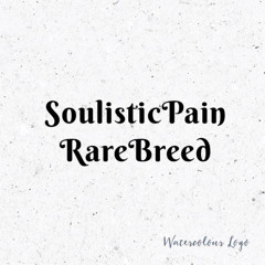 Soulistic PainDj  X RareBreed-The land of black (Main Mix).mp3