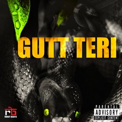 Gutt Teri - Vsinghs , Pavvan, Keetview$ & Rokitbeats