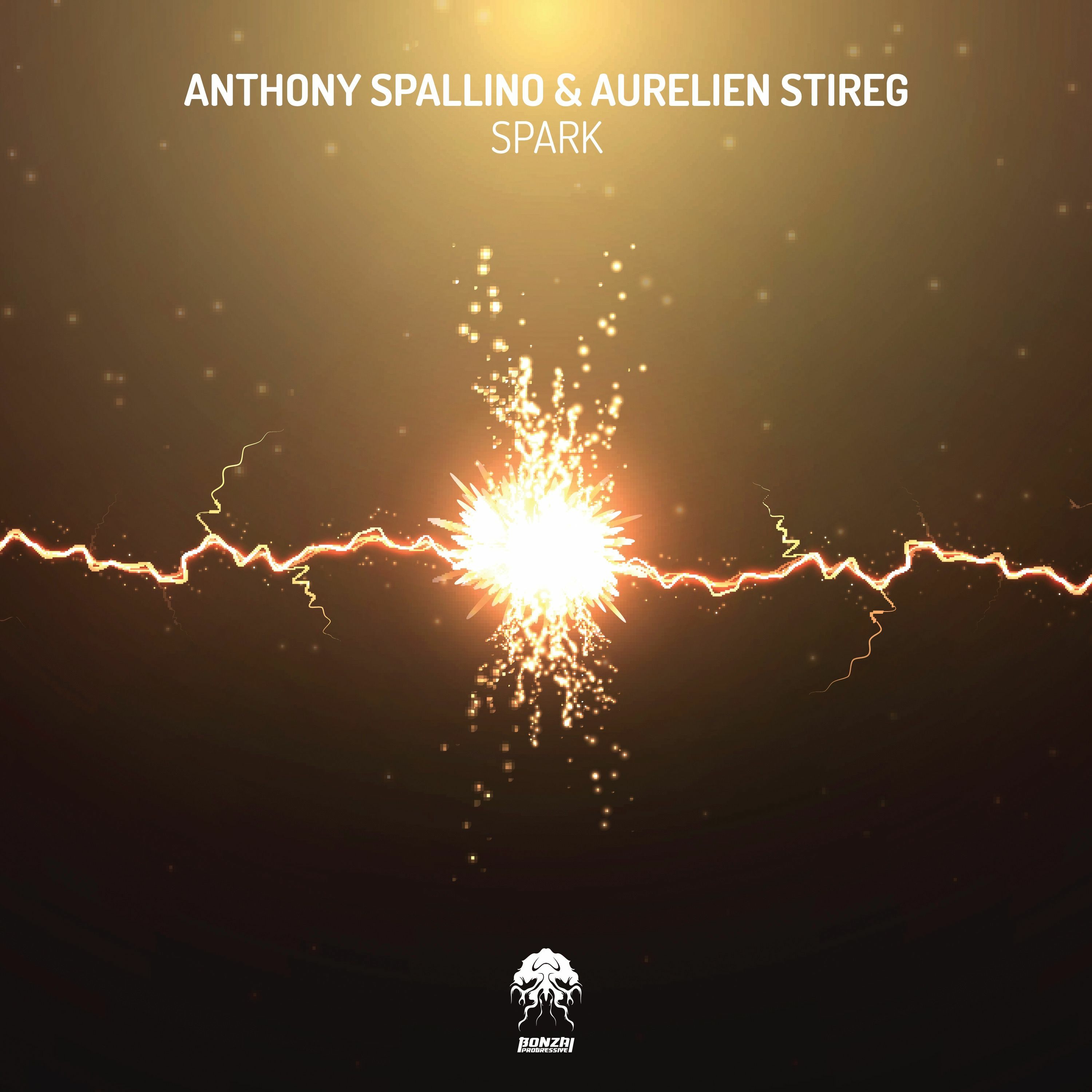 Aurelien Stireg