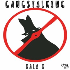 Gangstalking (Community Policing)