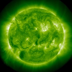 KC's Sunshine 0408